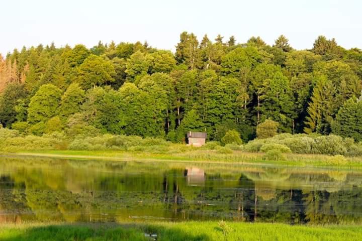 Ferienhaus Mauer Krombachtalsperre, Exclusive Nebenkosten Strom Driedorf Екстериор снимка